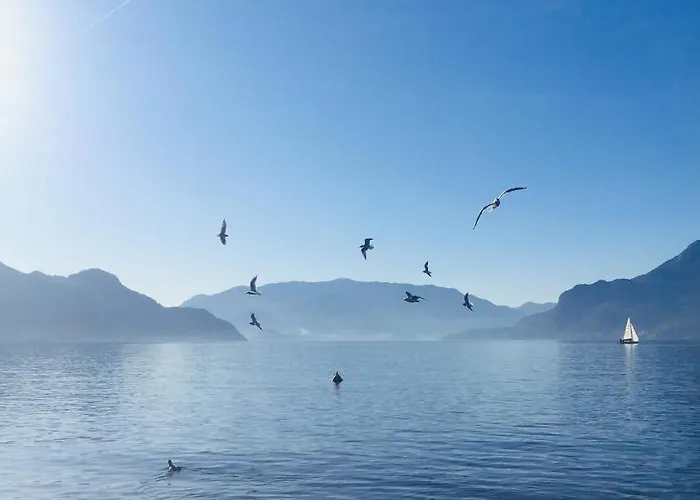 La Giazzera * 데르비오